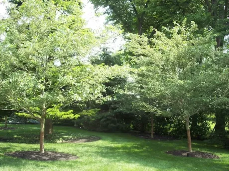landscape design and property maintenance in NKY