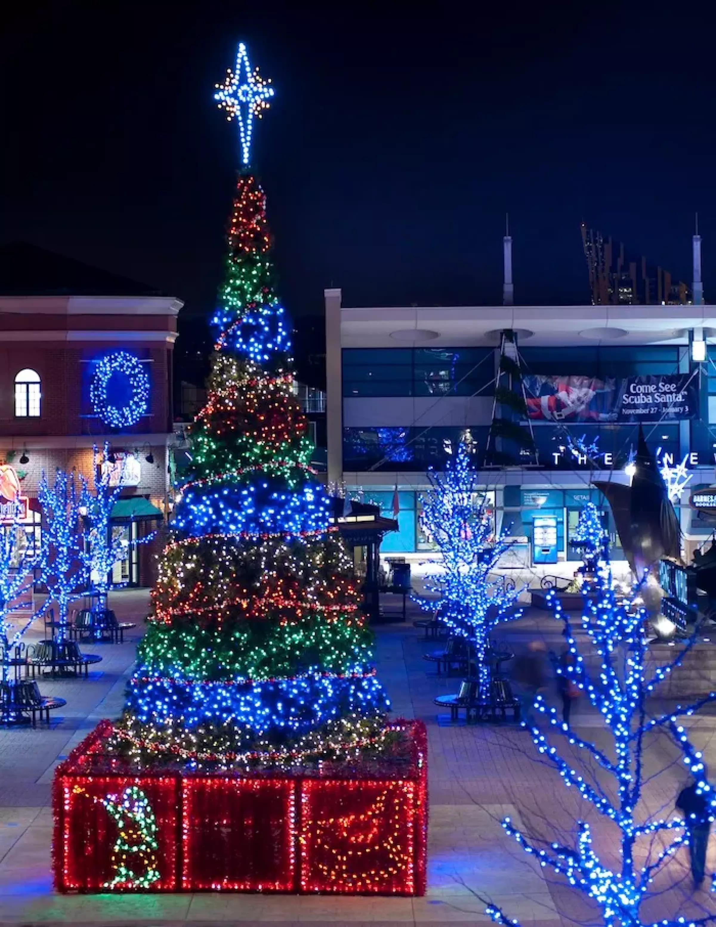 Newport on the Levee Holiday Display